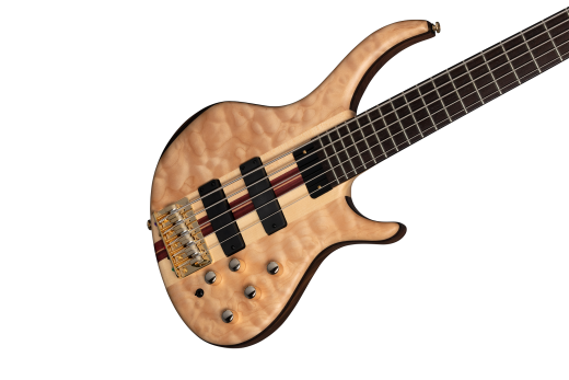 Classic V 5-String Bass with Gigbag - Satin Natural