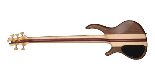 Classic V 5-String Bass with Gigbag - Satin Natural