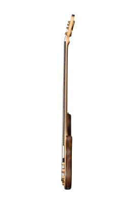 Classic V 5-String Bass with Gigbag - Satin Natural