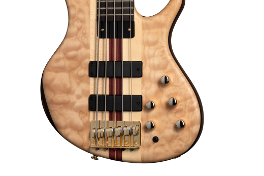 Classic V 5-String Bass with Gigbag - Satin Natural