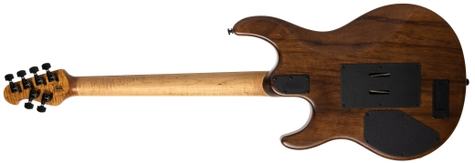 30th Anniversary Luke 4 HSS, Roasted Figured Maple/Rosewood Fingerboard with Case - Steamroller