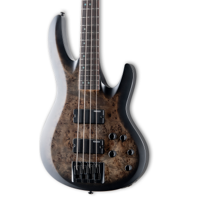LTD 4-String Bass Guitar - Charcoal Burst Satin