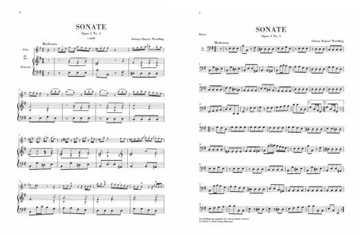 Flute Music Volume II, Pre-Classical - Heinemann/Graf/Petrenz - Flute/Bass/Piano - Book