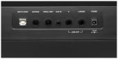 Legato IV 88-Key Digital Piano - Black