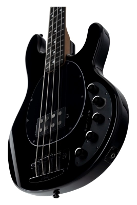 DarkRay Bass - Black