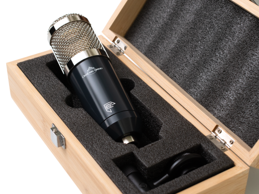 TG Microphone Type L Large Diaphragm Condenser Microphone
