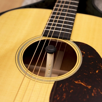 Guitar Humidifier