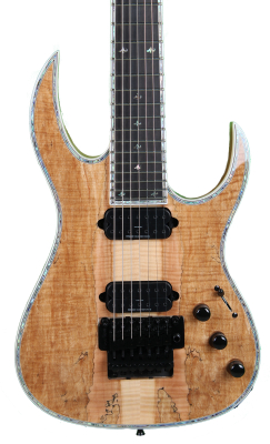 Shredzilla 7 Prophecy Archtop Electric Guitar with Floyd Rose - Spalted Maple