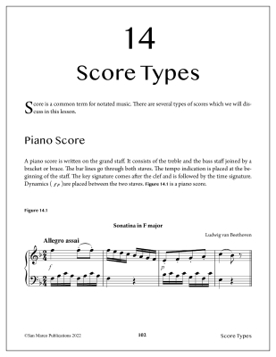 Essential Music Theory, Level 8 - Sarnecki - Book