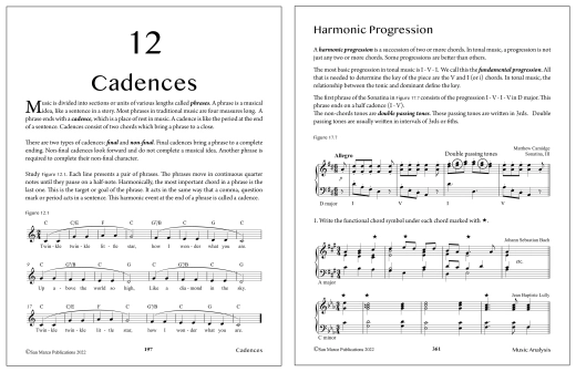 Essential Music Theory, All in One - Sarnecki - Book