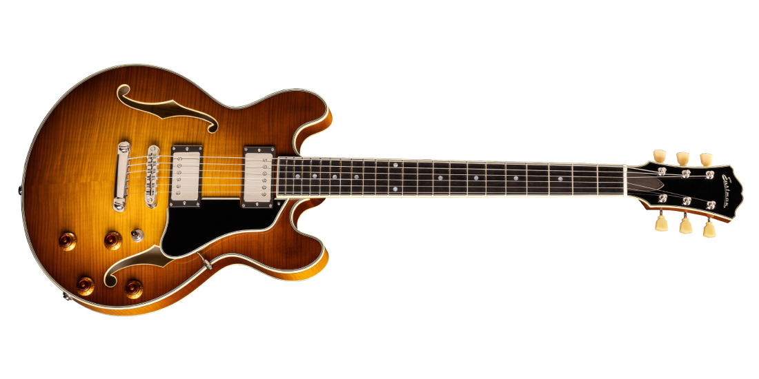 T484-GB Thinline Electric Guitar with Hardshell Case - Goldburst