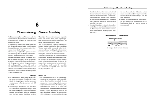 The Techniques of Flute Playing I - Levine/Mitropoulos-Bott - Flute - Book