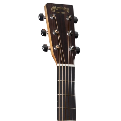 D-10E Road Series Spruce Acoustic-Electric Guitar with Gig Bag, Left Handed