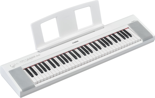 Piaggero NP-15 61-Key Digital Piano w/Adaptor - White