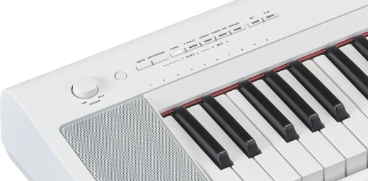 Piaggero NP-15 61-Key Digital Piano w/Adaptor - White