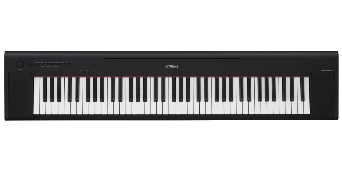 Piaggero NP-35 76-Key Digital Piano w/Adaptor - Black