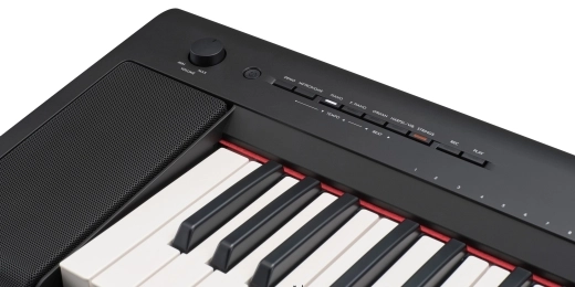 Piaggero NP-35 76-Key Digital Piano w/Adaptor - Black