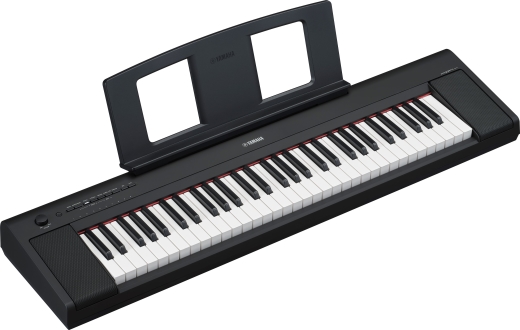 Piaggero NP-35 76-Key Digital Piano w/Adaptor - Black