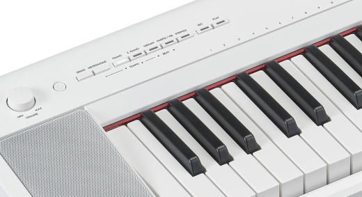 Piaggero NP-35 76-Key Digital Piano - White