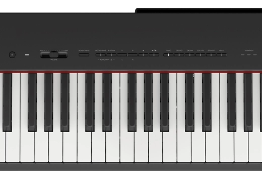 P225 88-Key Portable Digital Piano - Black