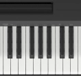 P145 88-Note Digital Piano - Black