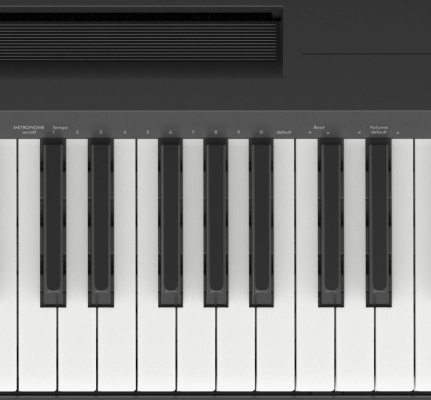 P145 88-Note Digital Piano - Black