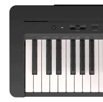 P145 88-Note Digital Piano - Black