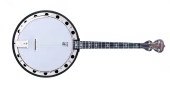 Deering Banjo Company - Goodtime Two Tenor Banjo with 17 Frets