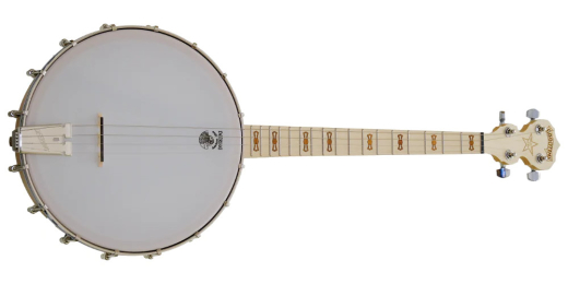 Deering Banjo Company - Goodtime Tenor Banjo with 17 Frets
