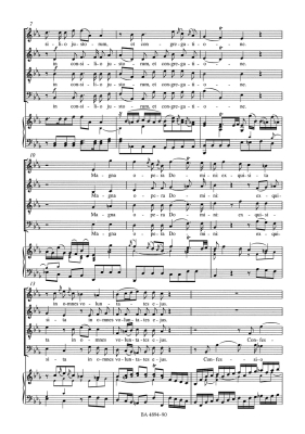 Vesperae solennes de Confessore K. 339 - Mozart /Fellerer /Schroeder - Vocal Score - Book
