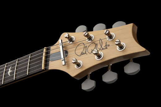 PRS Guitars John Mayer ''Dead Spec'' Silver Sky Limited
