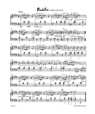 The Secret Garden - Metelka - Performance Score - Piano