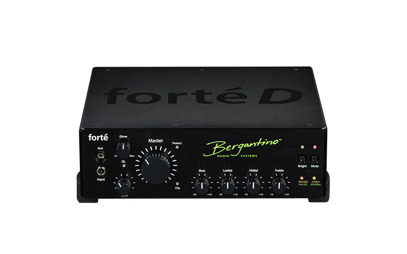 Forte D Bass Amplifier
