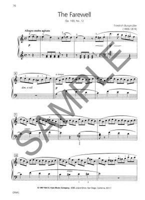 Piano Repertoire: Etudes, Level 5 - Snell - Piano - Book