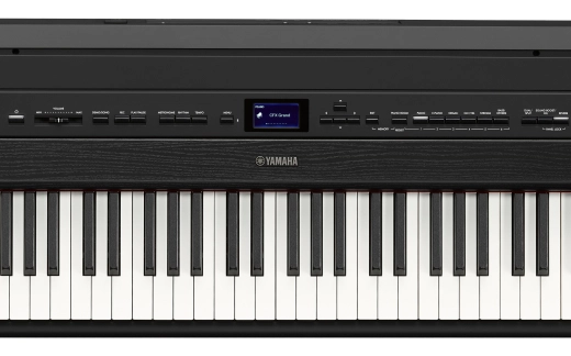 P-525 88 Key Digital Piano with Speakers - Black