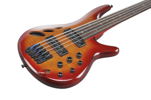SR Bass Workshop 5-String Fretless Electric Bass - Brown Topaz Burst Low Gloss