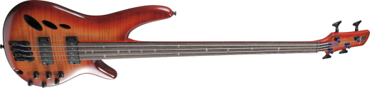 SR Bass Workshop Fretless Electric Bass - Brown Topaz Burst Low Gloss