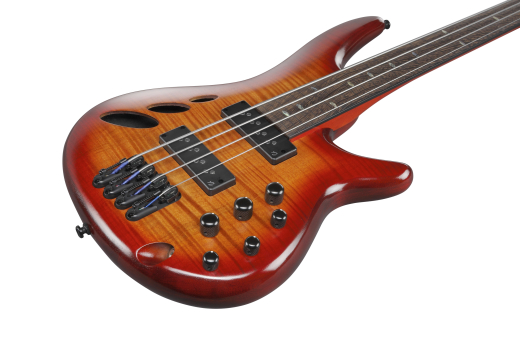 SR Bass Workshop Fretless Electric Bass - Brown Topaz Burst Low Gloss