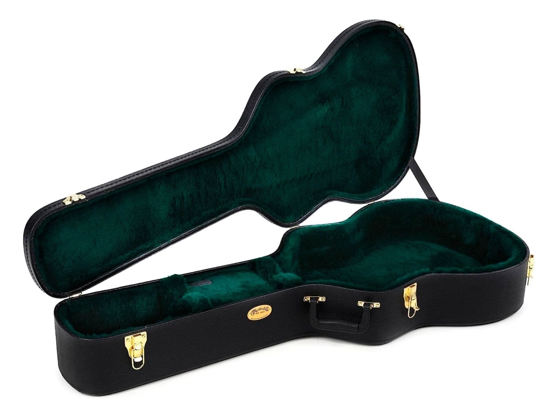 12C0101 Dreadnought Series 16 Guitar Case