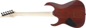 Guitare �lectrique RG Standard (fini Sea Shore Matte)