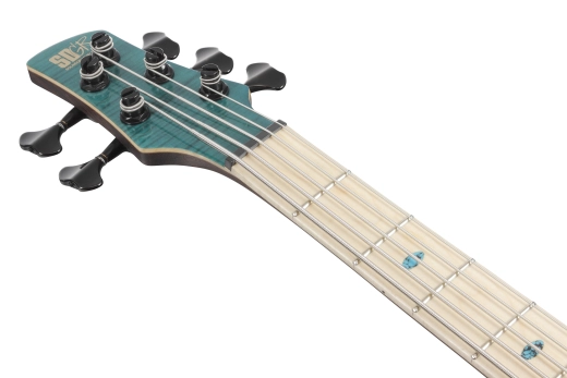 SR Premium 5-String Electric Bass Guitar with Gigbag - Caribbean Green Low Gloss