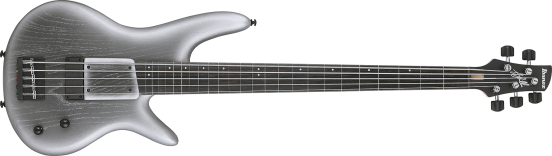 Gary Willis Signature 5-String Electric Fretless Bass with Gigbag - Silver Wave Burst Flat