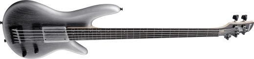 Gary Willis Signature 5-String Electric Fretless Bass with Gigbag - Silver Wave Burst Flat