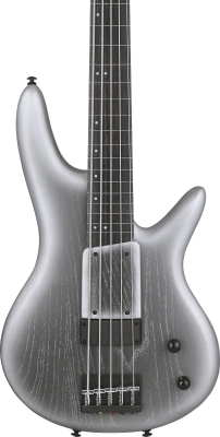 Gary Willis Signature 5-String Electric Fretless Bass with Gigbag - Silver Wave Burst Flat