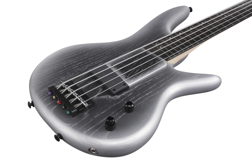 Gary Willis Signature 5-String Electric Fretless Bass with Gigbag - Silver Wave Burst Flat