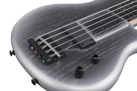 Gary Willis Signature 5-String Electric Fretless Bass with Gigbag - Silver Wave Burst Flat