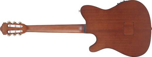 Guitare acoustique-�lectrique�FRH10N � cordes en nylon (fini or rose m�tallique mat)