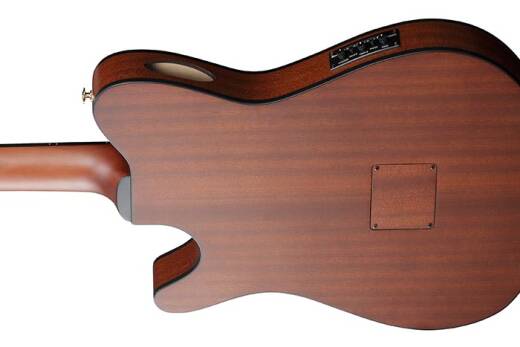 Guitare acoustique-�lectrique�FRH10N � cordes en nylon (fini or rose m�tallique mat)