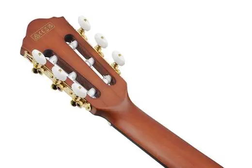 FRH10N Nylon String Acoustic/Electric Guitar - Rose Gold Metallic Flat