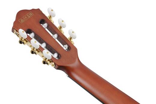 Guitare acoustique-�lectrique�FRH10N � cordes en nylon (fini indigo m�tallique)